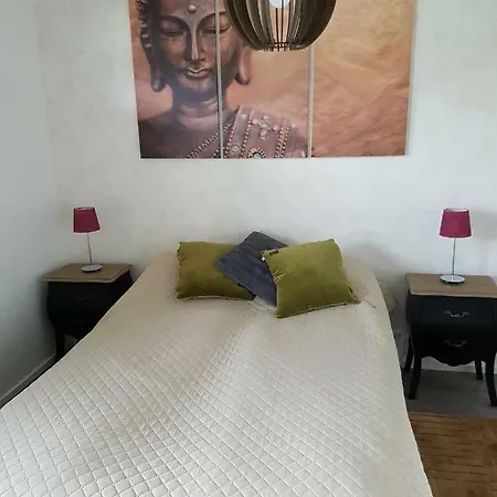 Apartament J House